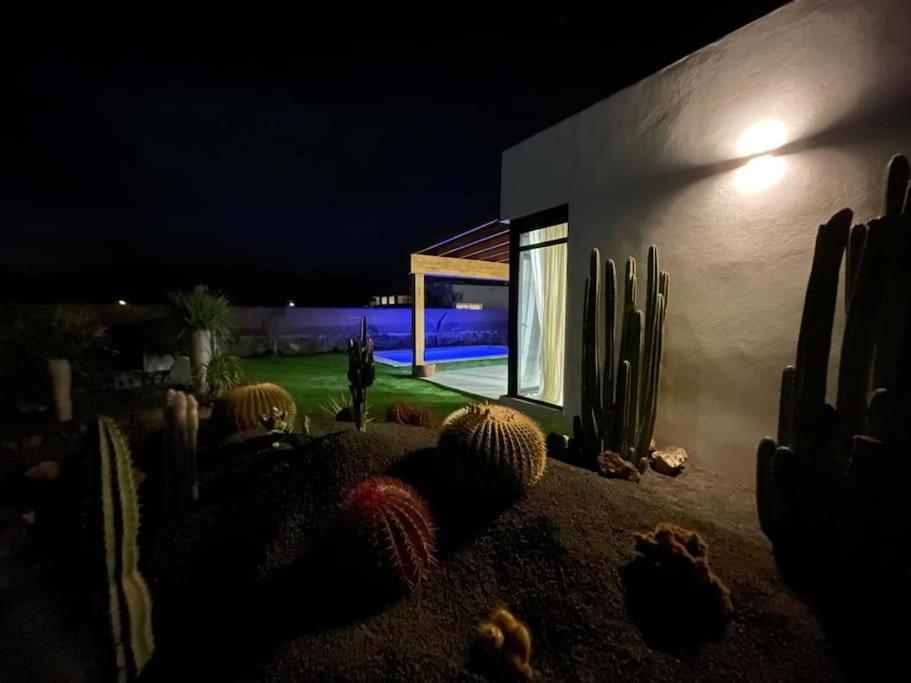 Bungalow + Piscina Independiente ラ・オリーバ エクステリア 写真